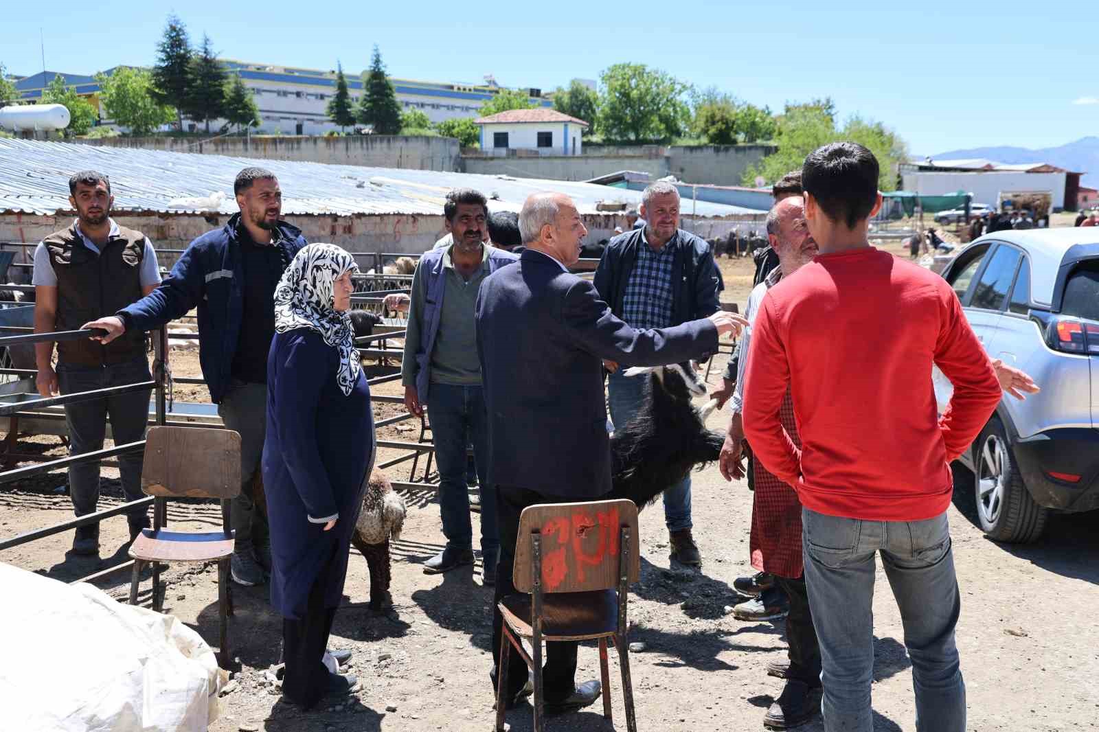 Elazığ hayvan pazarında hareketlilik sürüyor