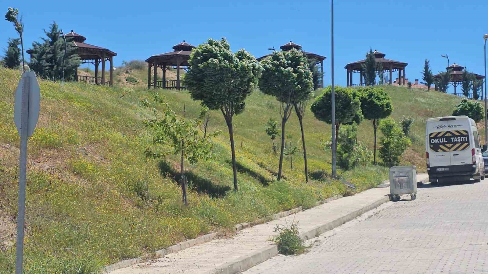 Elazığ’da şiddetli rüzgar etkili oldu