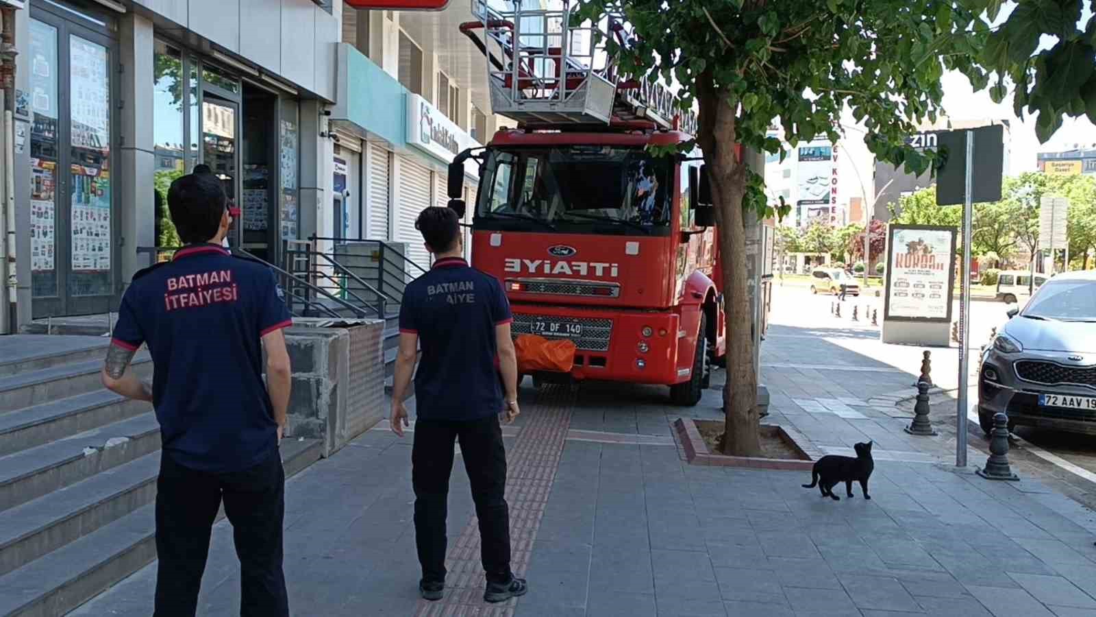 Batman’da vefakar kedi arkadaşını yalnız bırakmadı