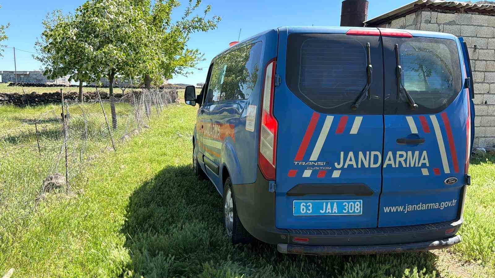 Yılanı vurmak isterken 5 kişiyi yaraladı
