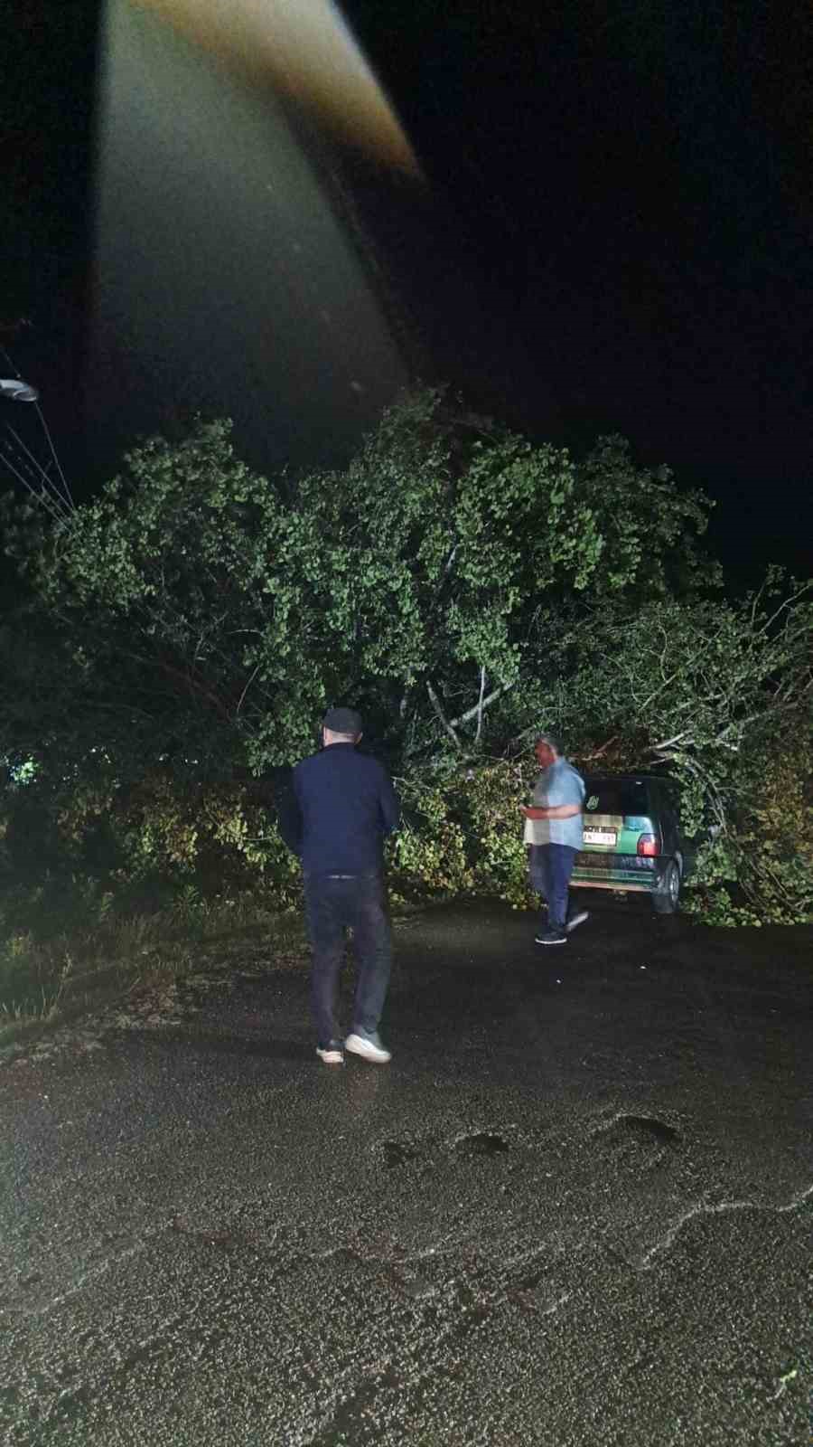 Bartın’da şiddetli fırtına: ağaçlar Otomobillerin üzerine devrildi