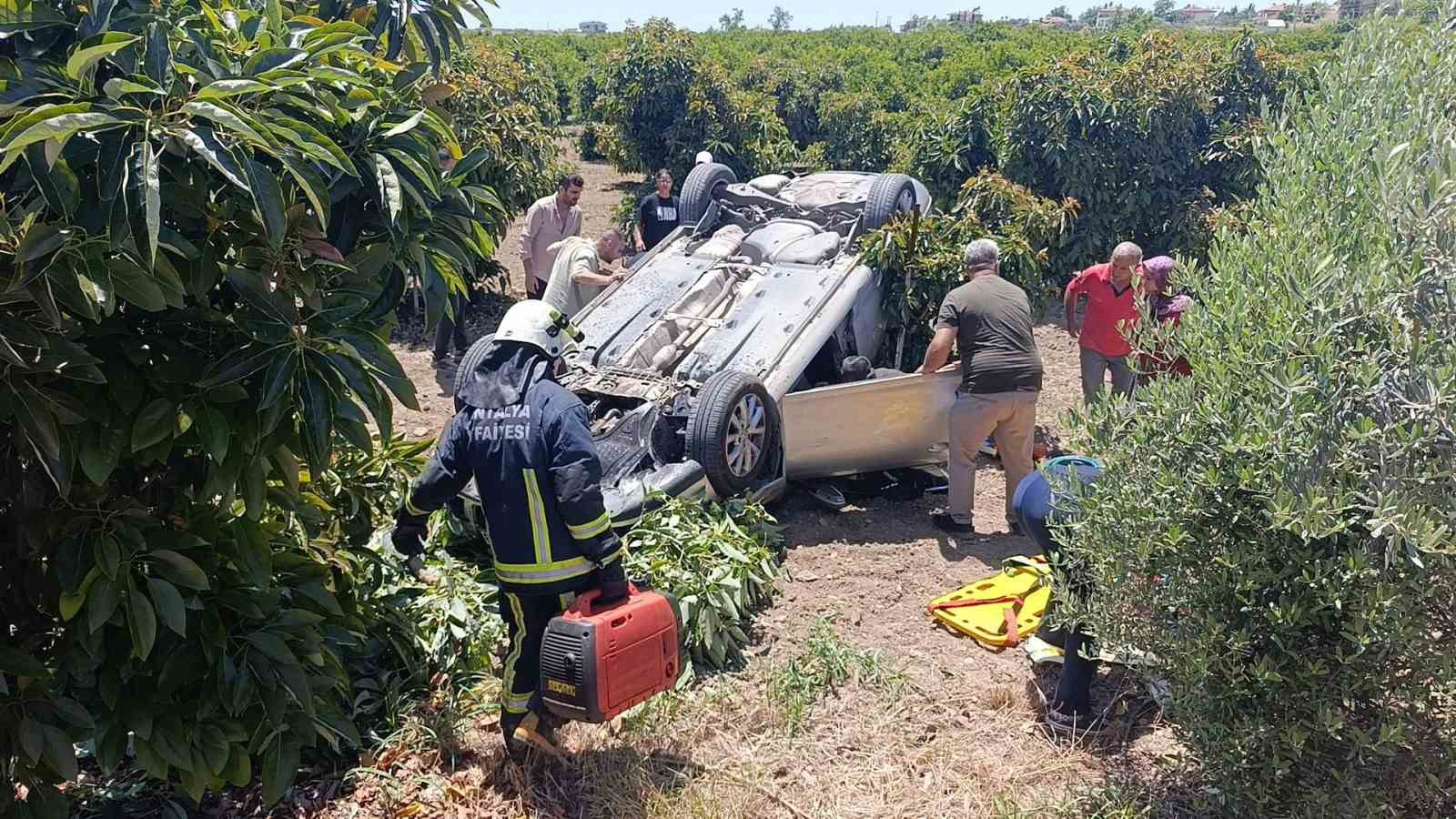 Viraj alamayan otomobil avokado bah&ccedil;esine u&ccedil;tu
