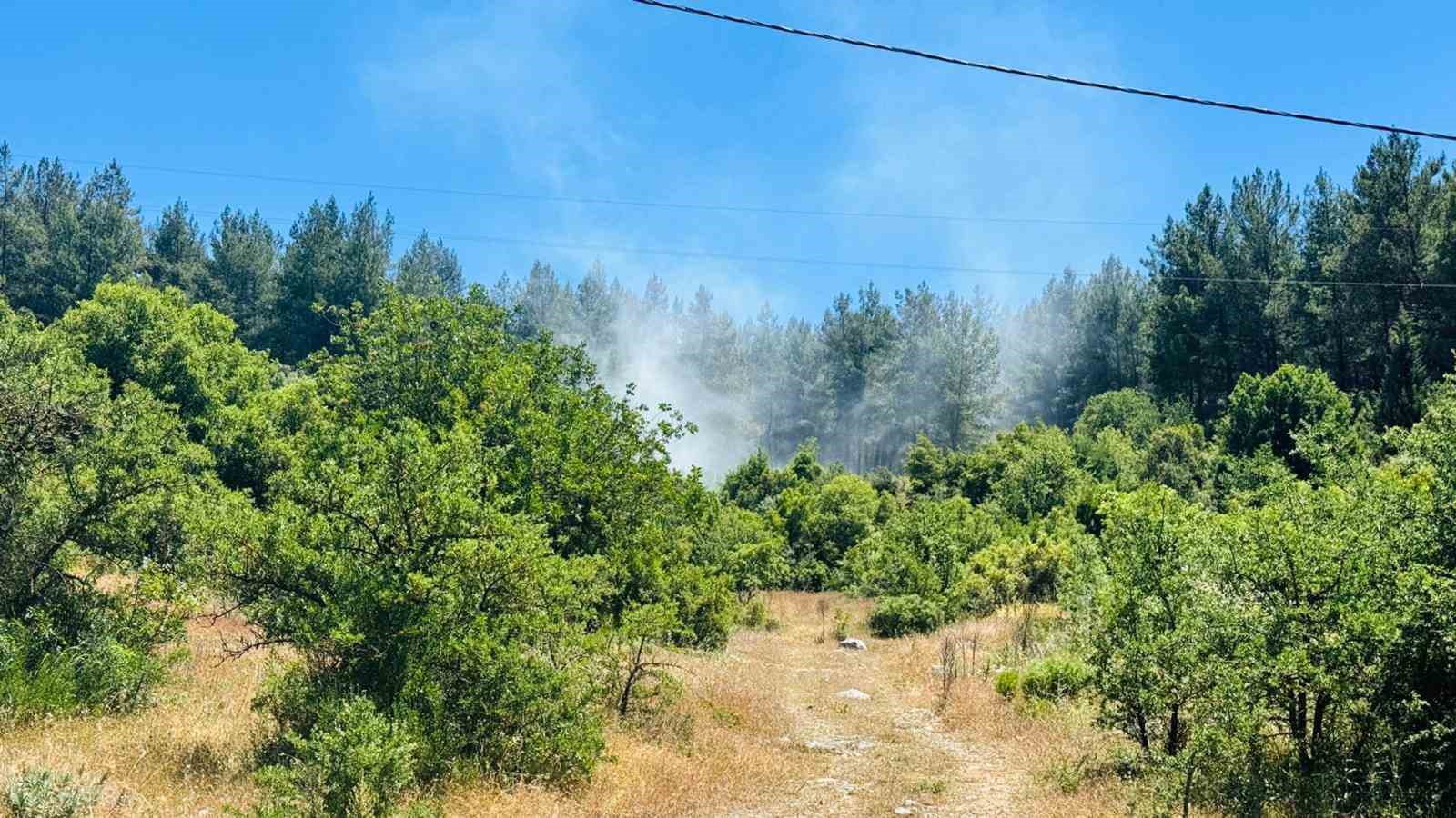 Menteşe’de orman yangını