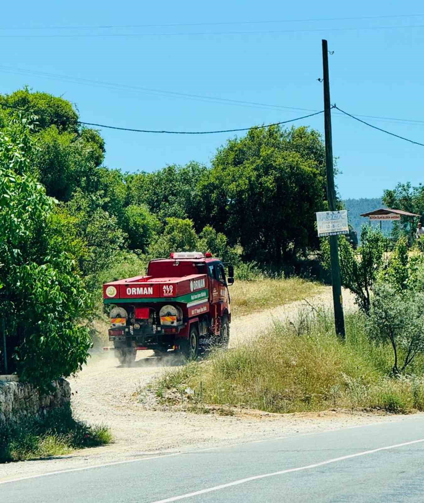 Menteşe’de orman yangını