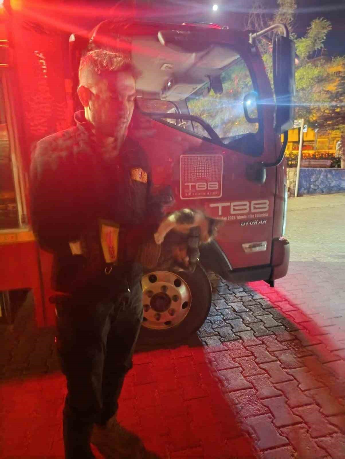 Motor kısmına sıkışan kedi için seferber oldular