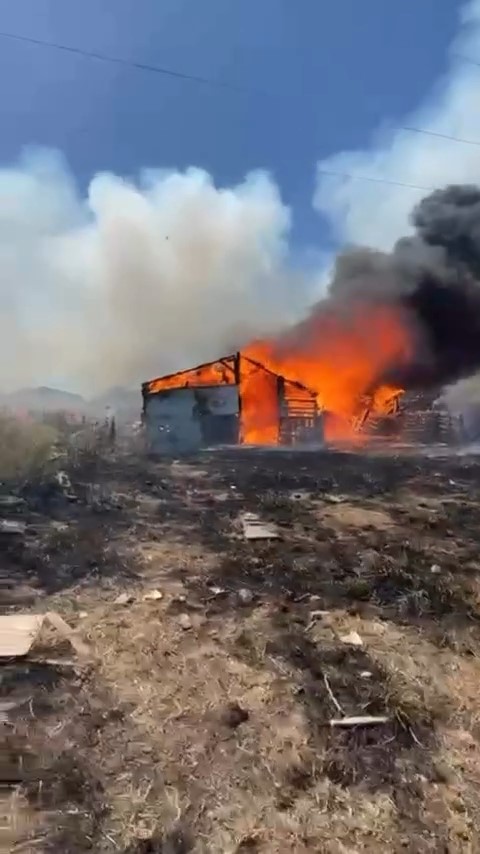 Ayvalık’ta ahır yangını