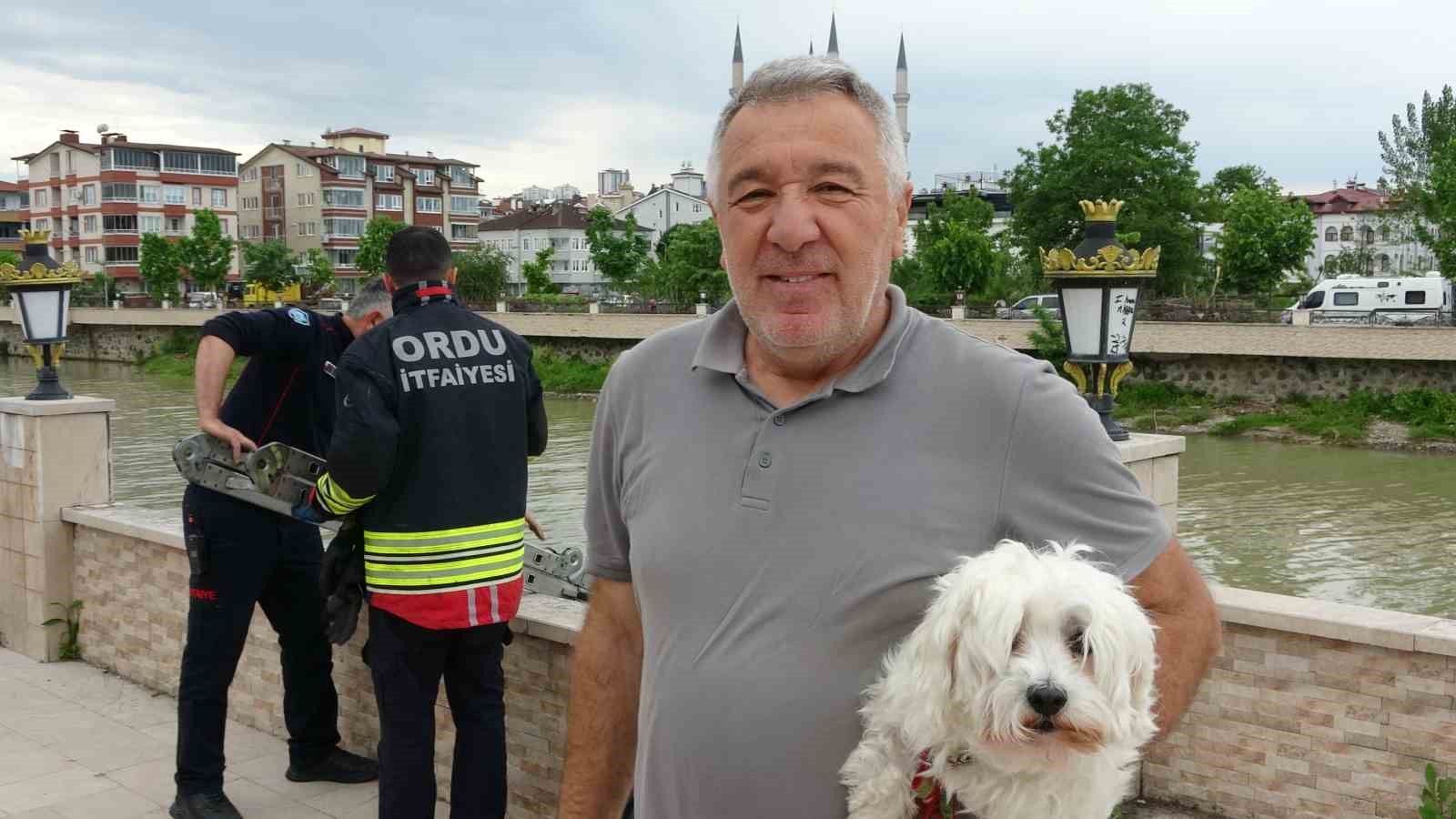Ordu’da ırmak yatağında mahsur kalan köpekleri itfaiye kurtardı