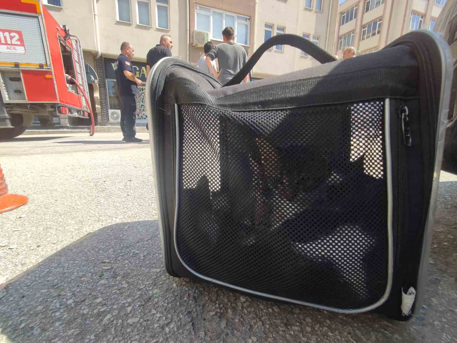Bodrum katta çıkan yangında 4 kedi son anda kurtarıldı