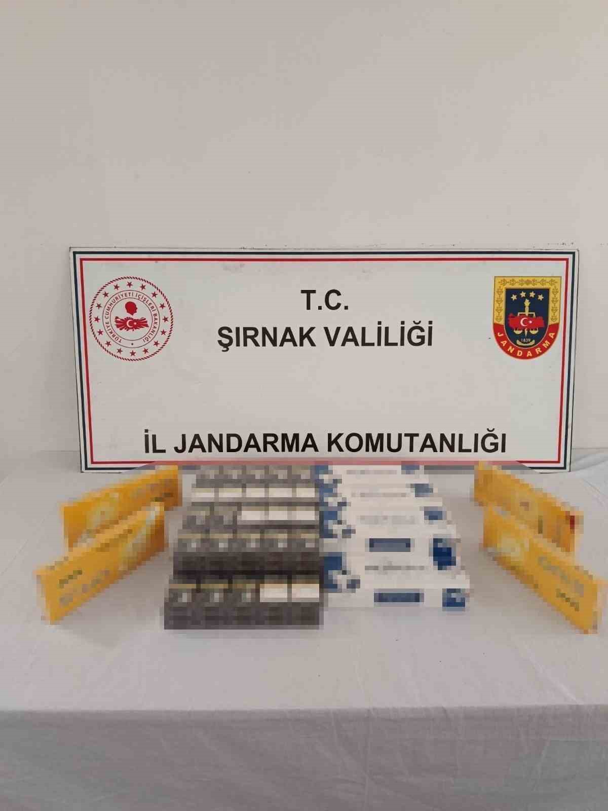 Şırnak&rsquo;ta jandarmadan asayiş, ka&ccedil;ak&ccedil;ılık ve narkotik operasyonu
