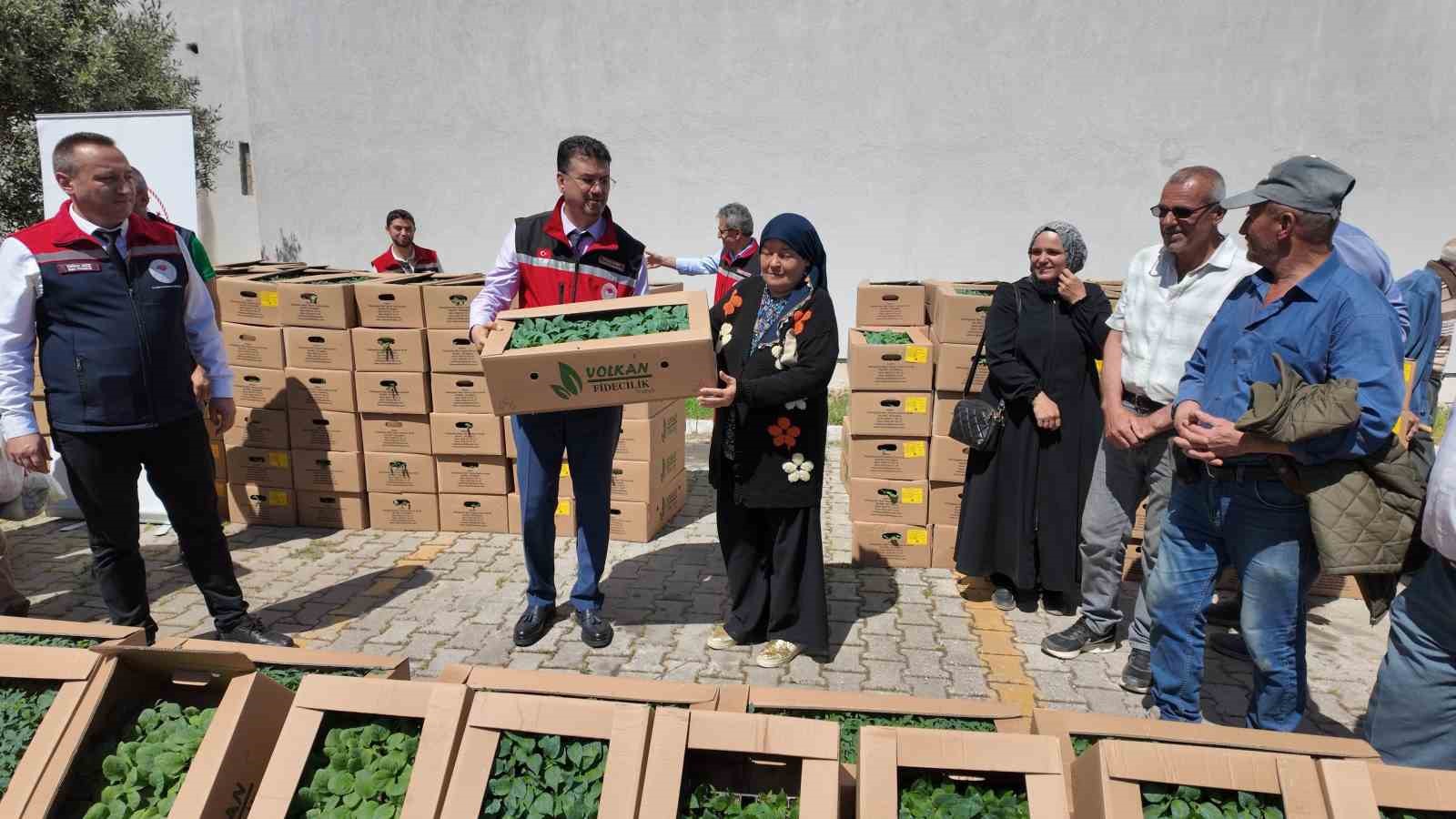 Tekirdağ&rsquo;da 407 &uuml;reticiye 256 bin yazlık sebze fidesi dağıtıldı
