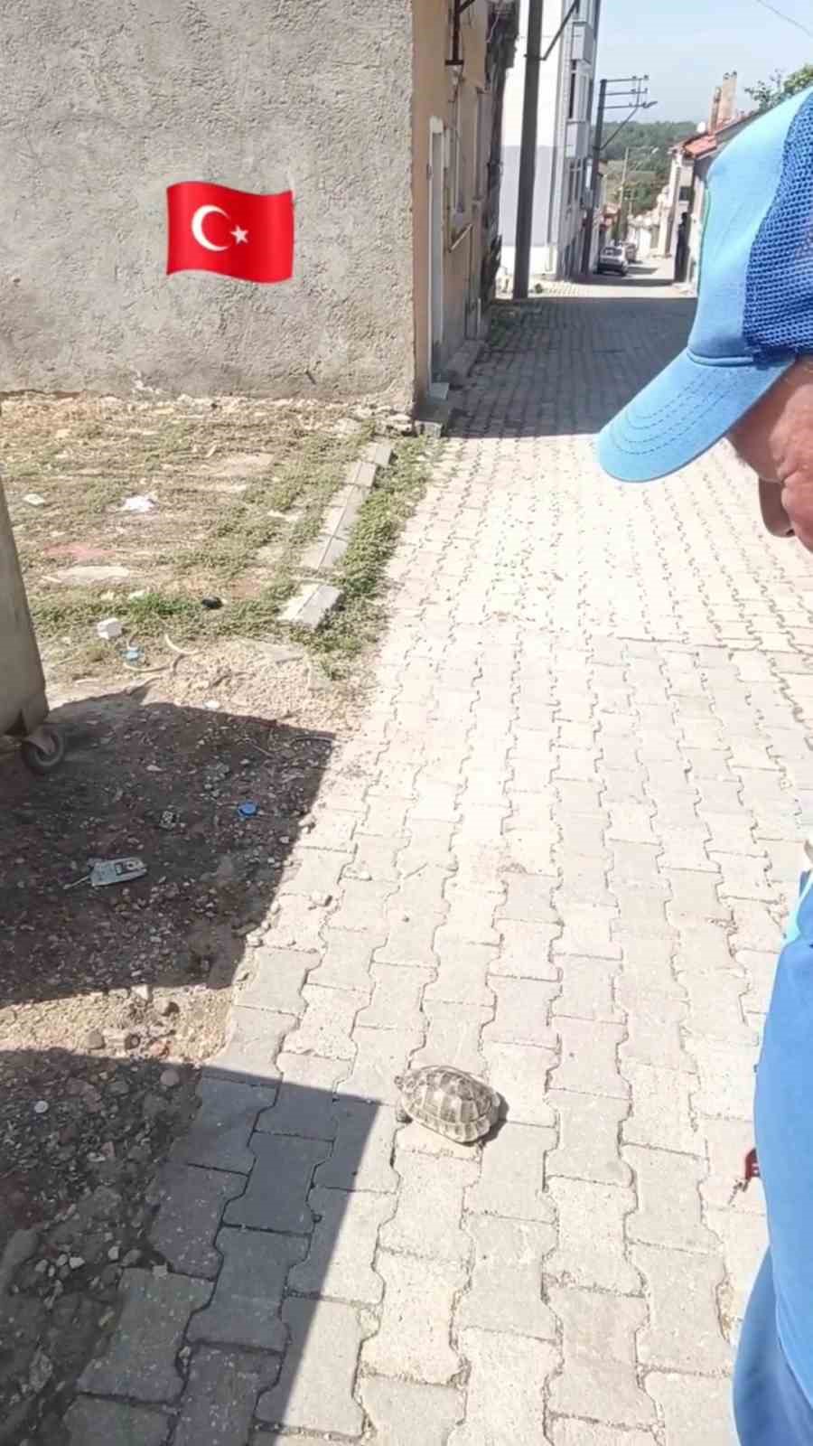 Edirne’de Çevre Haftası’nda gülümseten görüntü