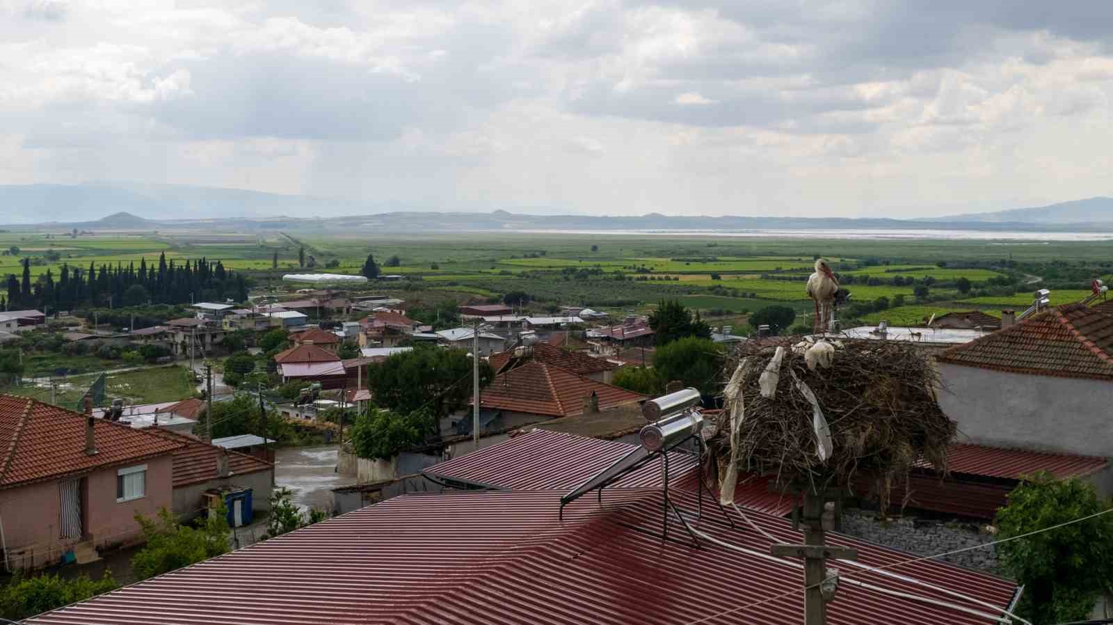 Manisa’da leylekler bir mahalleyi adeta mesken tuttu