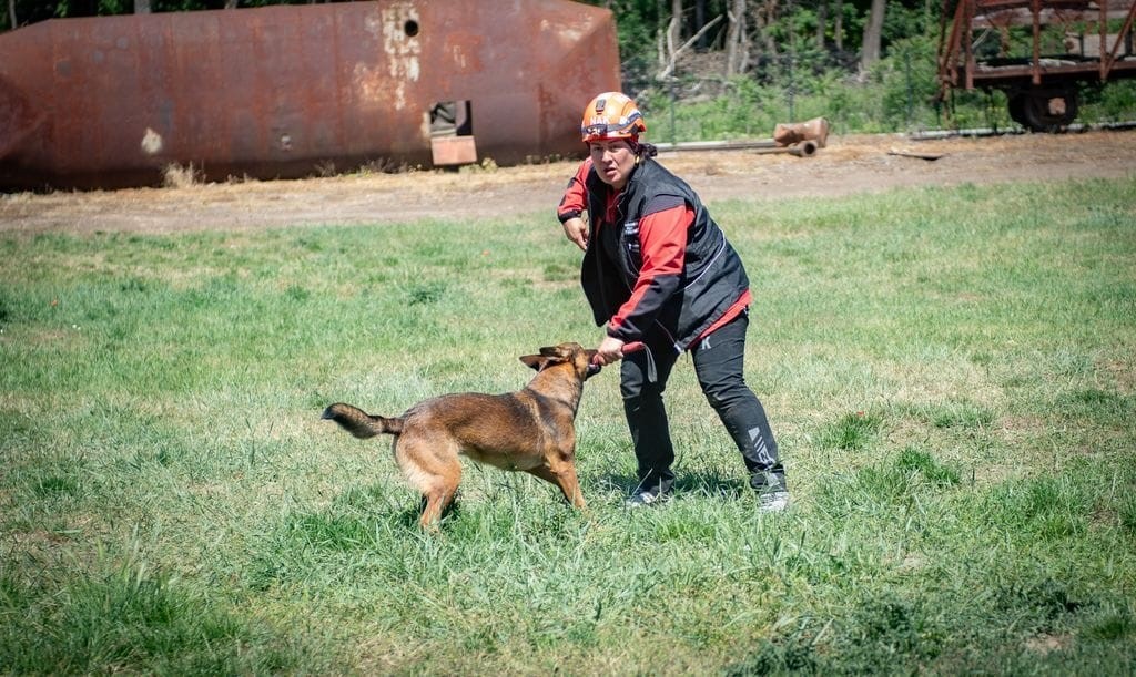 Muğla NAK Arama Kurtarma Köpekleri Macaristan’da sahaya indi