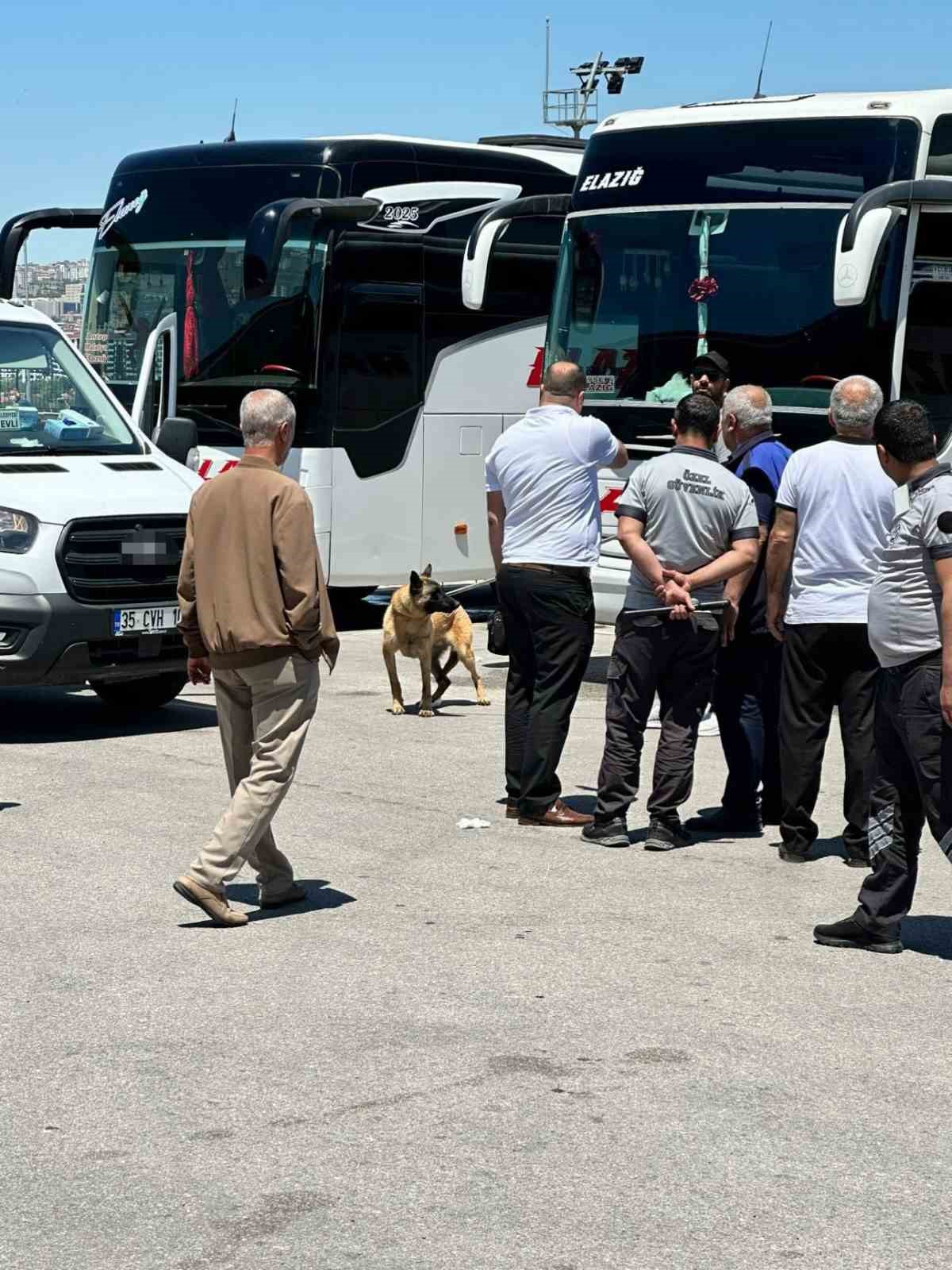 Köpeğin saldırdığı kadın yaralandı