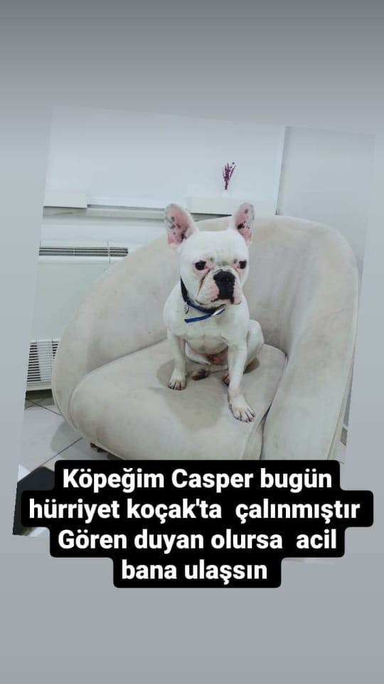 Önce sevdiler, sonra çaldılar