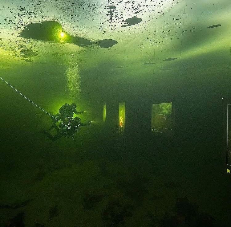 Rusya'da buz tutan denizin altında fotoğraf sergisi