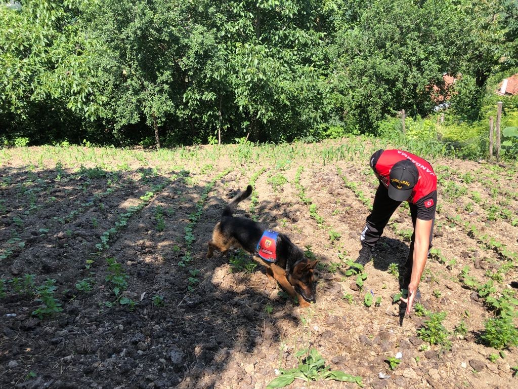 Günlerdir haber alınamayan yaşlı adam, kadavra köpeği ile aranıyor