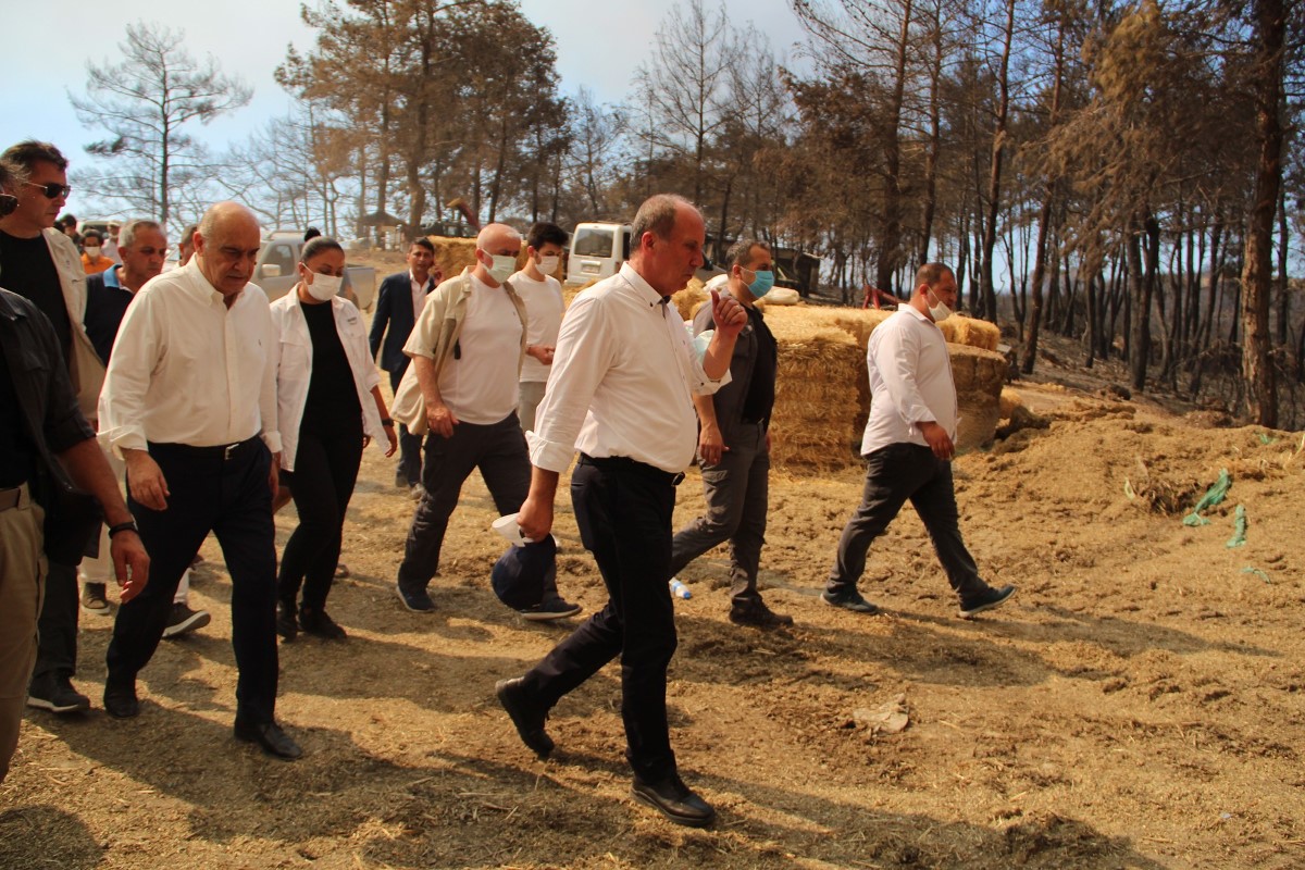 Muharrem İnce, Antalya�da yangın bölgesinde