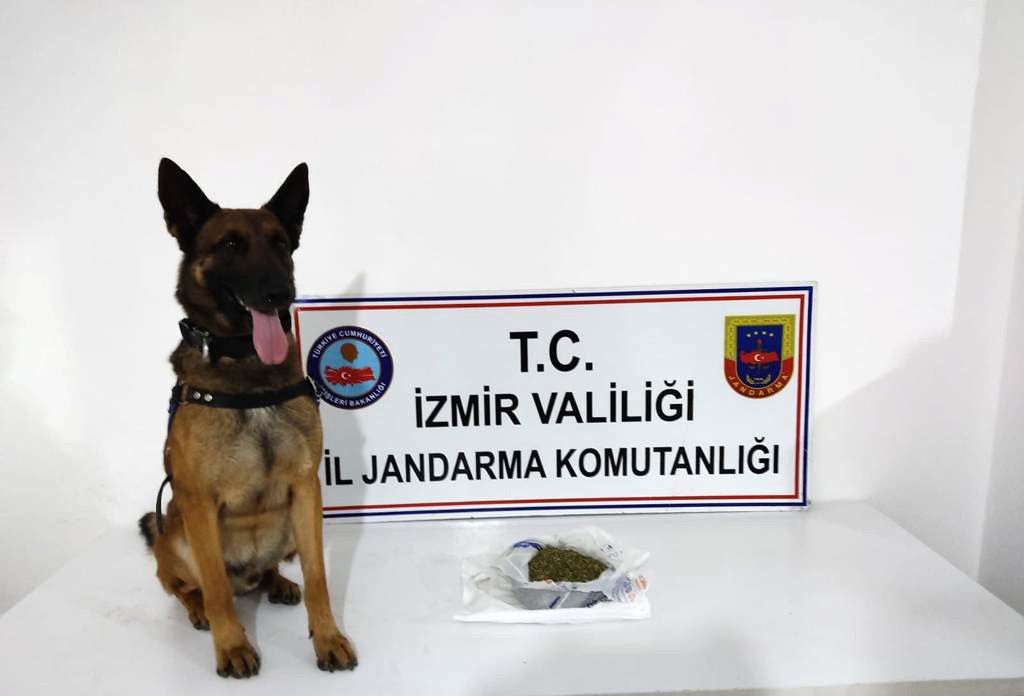 İzmir�de drone destekli uyuşturucu operasyonu 20 gözaltı