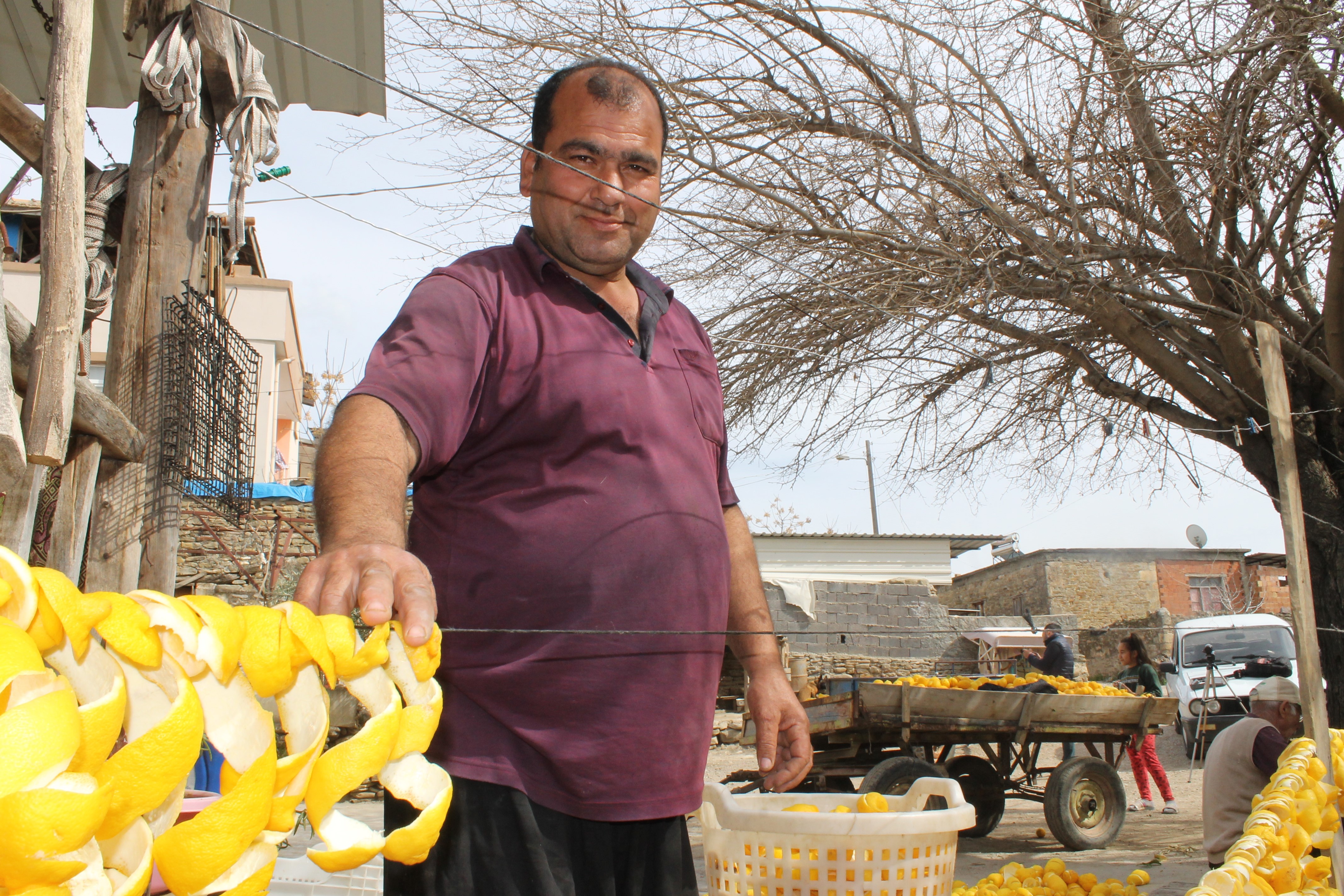 Çamaşır serer gibi limon kabuğu kurutuyorlar