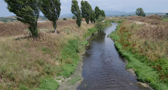 Tarlalar fabrika atıklarıyla sulanıyor