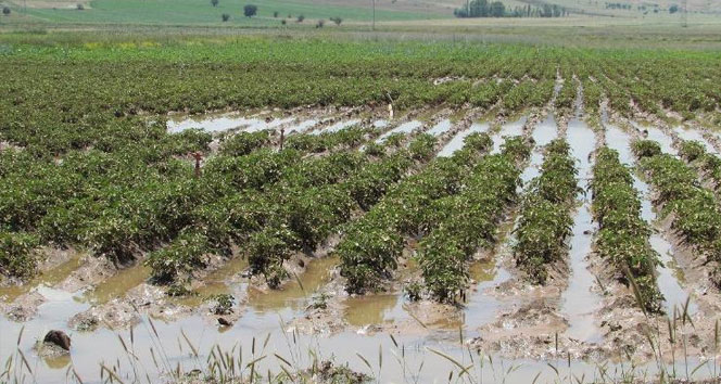 Baraj ana hattı patladı 200 dönüm arazi sular altında kaldı