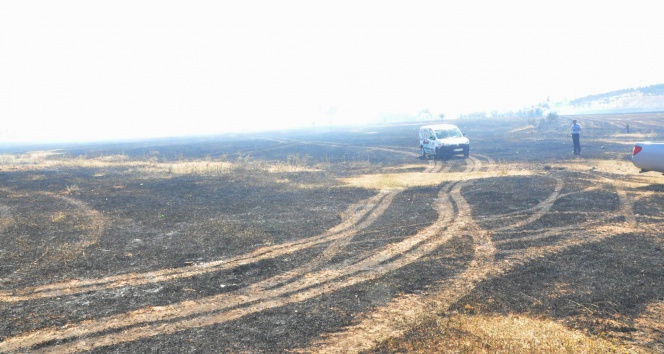 Sivas’ta 2 bin dönüm arazi yangında kül oldu