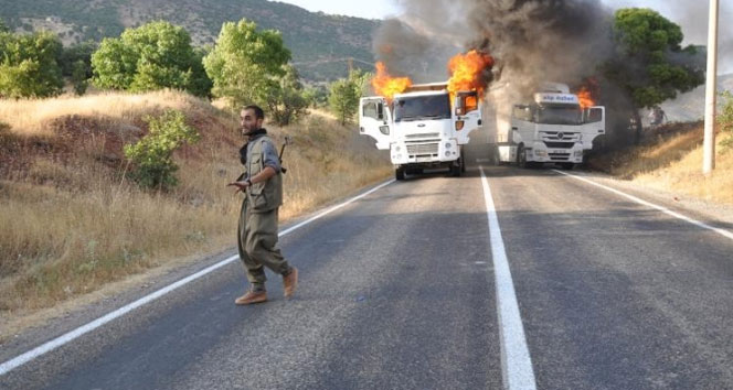 PKK’lı teröristler 3 aracı yaktı
