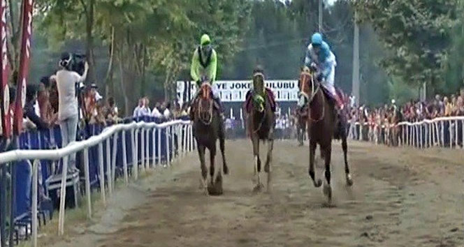 Jokeysiz yarışan at rakiplerine taş çıkarttı!