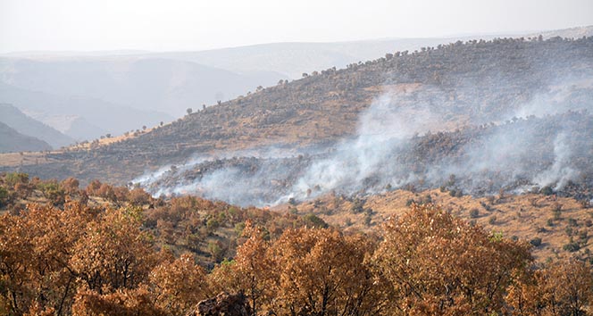 Mardin Bagok dağında yangın