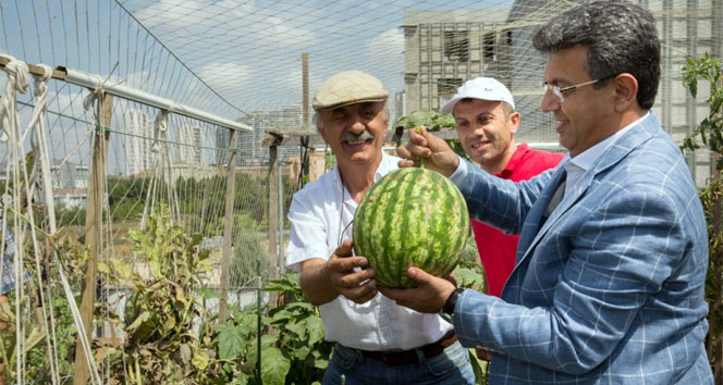 Hobi bahçesinin ilk karpuzunu birlikte tattılar