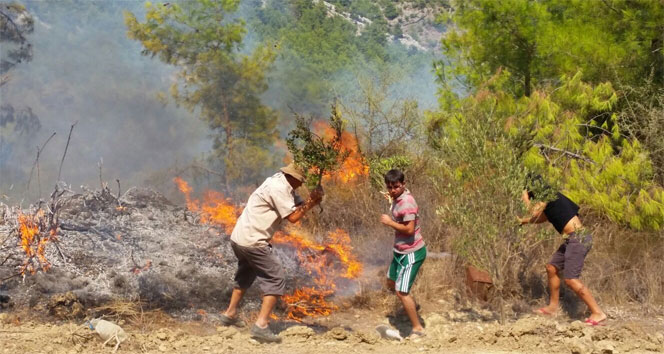 Antalya’daki orman yangınını söndürme çalışmaları sürüyor