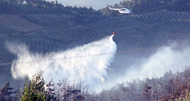 Bursa&#039;daki orman yangını söndürüldü