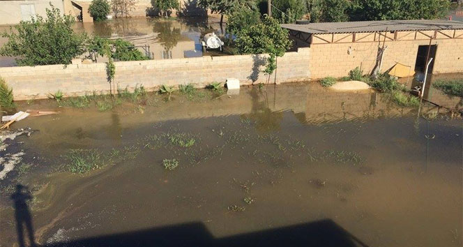Viranşehir’de bir mahalle sular altında kaldı