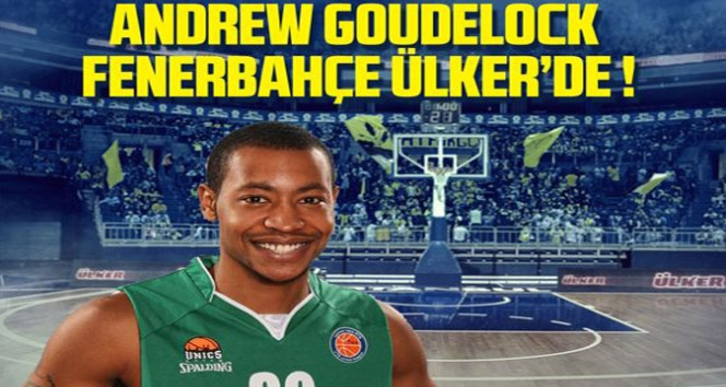 Yıldız şutör Fenerbahçe’de