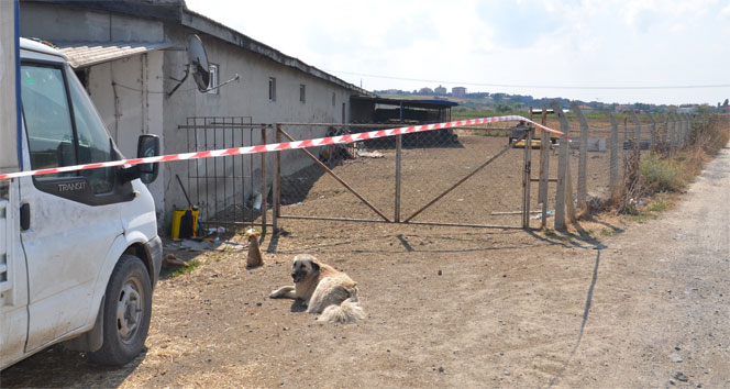 Tekirdağ'da çiftlikte cinayet