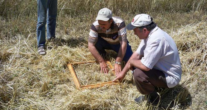 Dane kaybını önlemek için çalışmalar sürüyor