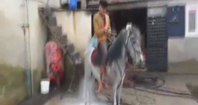 Atını oto yıkamacıda yıkatıyor