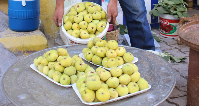 Yerli incirin kilosu 3 TL'den satılıyor