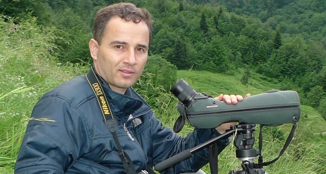 Ayılar neden insanlara saldırır?