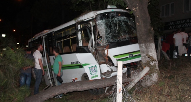 Ünye’de kontrolden çıkan dolmuş, ağaçları devirdi