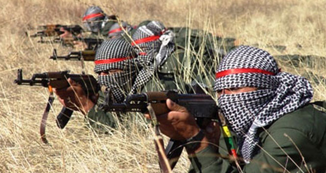 Hakkari’de 2 PKK’lı teslim oldu