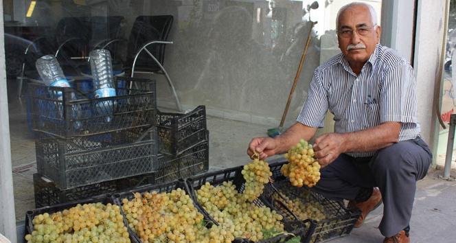 Üzüm fiyatları 11 yıldır değişmedi İhlas Haber Ajansı