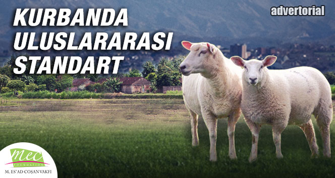 Kurbanda uluslararası standart…