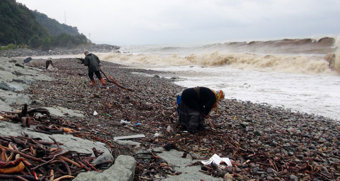Dalgalı denizde ölümle burun buruna odun topluyorlar