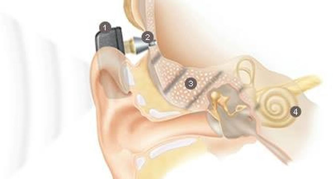 Evliya Çelebi'den bir ilk daha