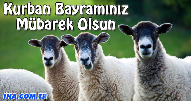 Kurban Bayramınız mübarek olsun