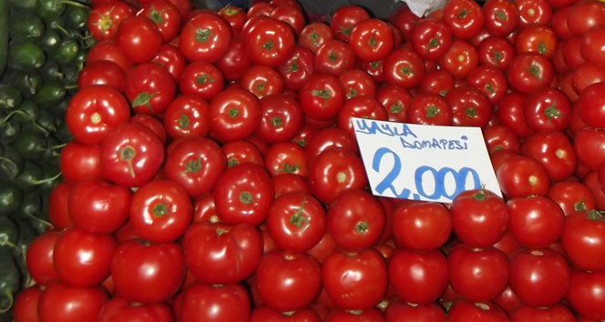 Domates fiyatı düşmeye başladı