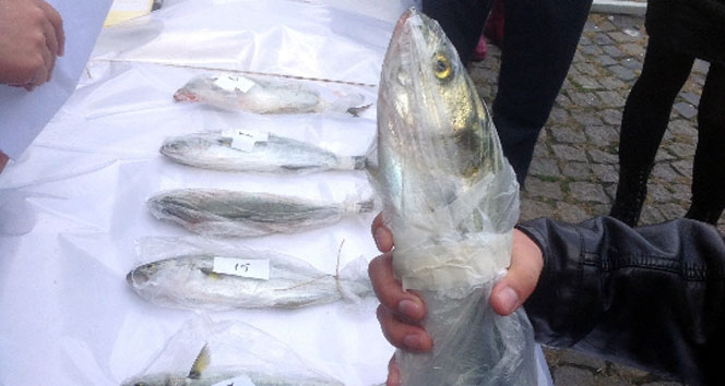 'En baba lüfer'i seçtiler