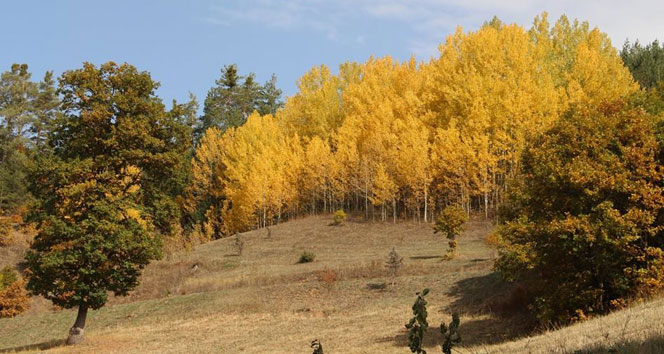 21 Ekim 2014 yurtta hava durumu